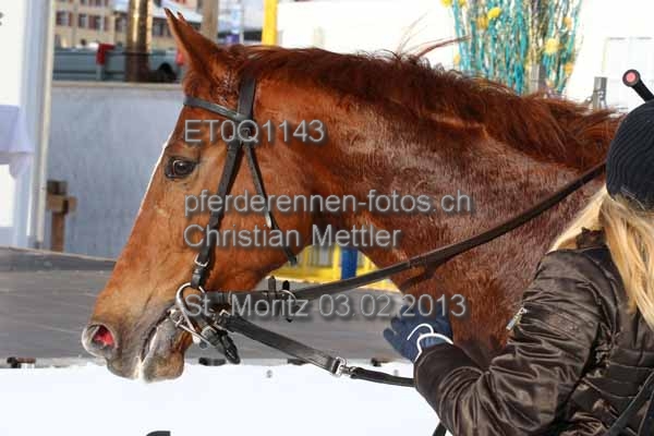 ET0Q1143 prot